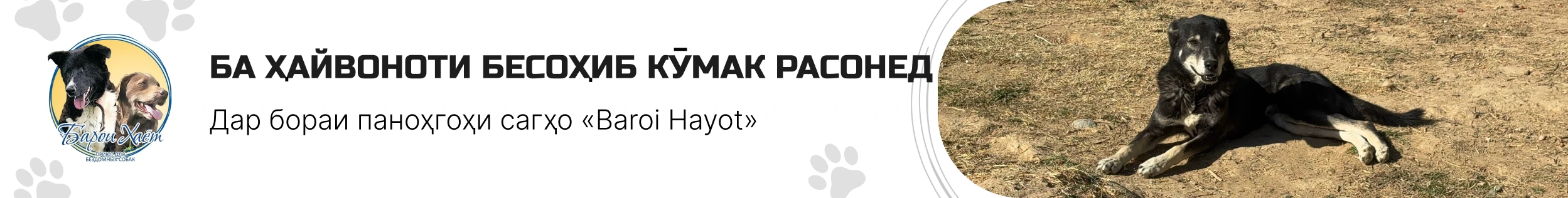 Promotion