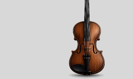 Скрипки и смычковые инструменты