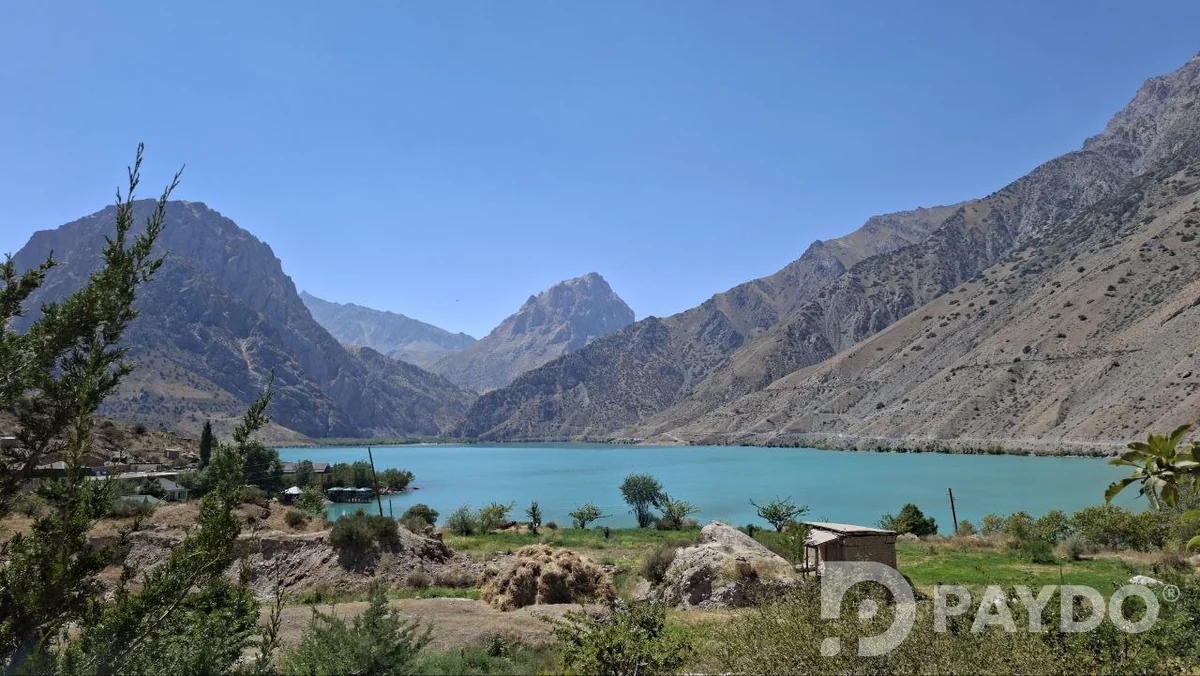 250 TJS
