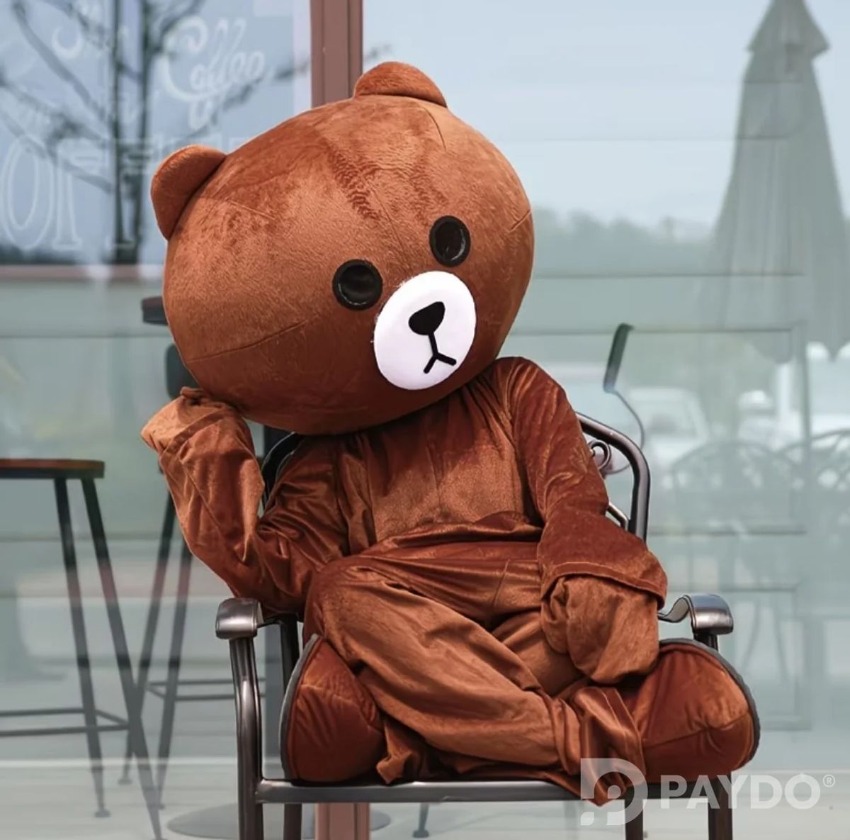 Костюм аниматоры