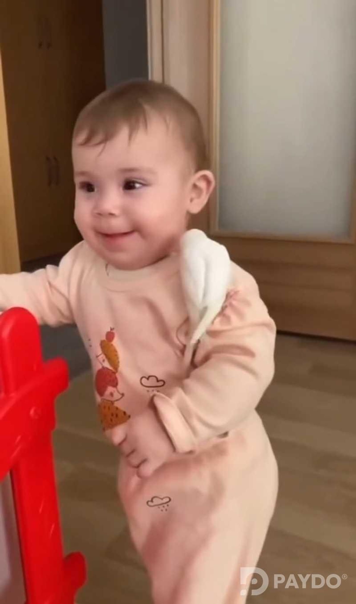 Попугай