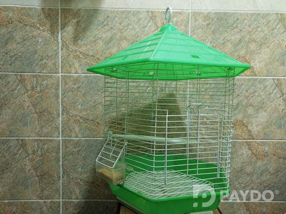 Кафас барои попугай
