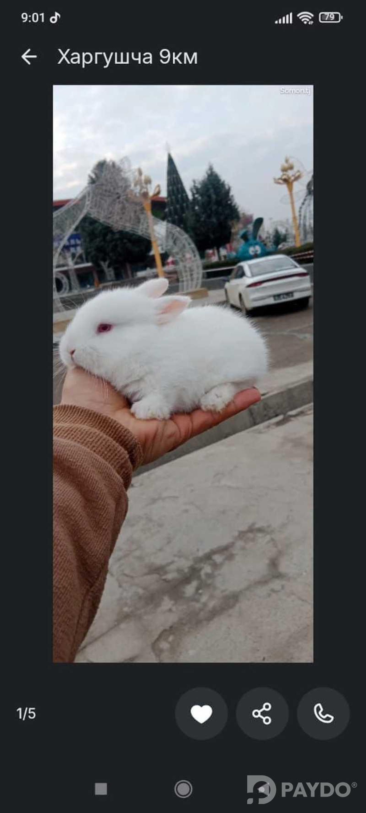 Харгушча 9км